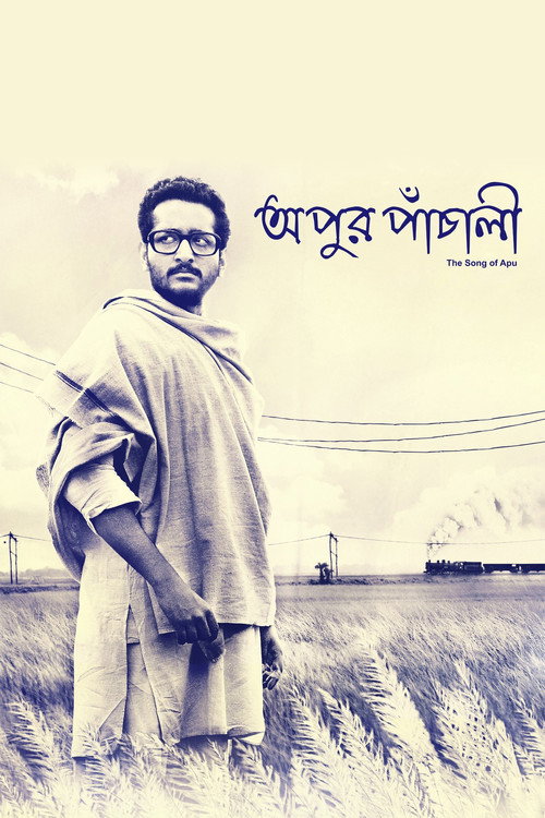 অপুর পাঁচালি постер