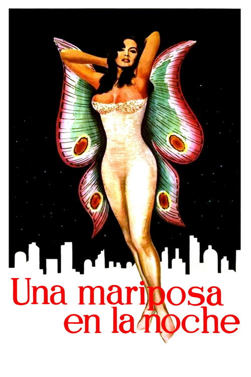 Una mariposa en la noche постер