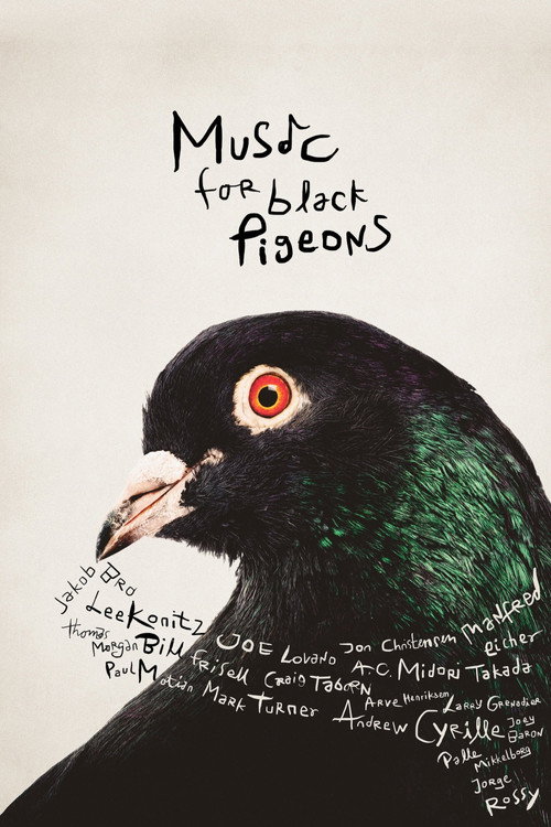 Music for Black Pigeons постер