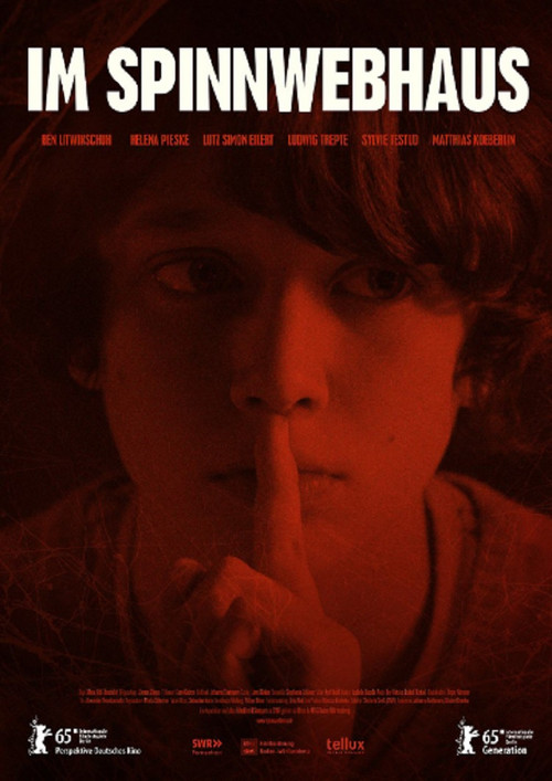 Im Spinnwebhaus постер