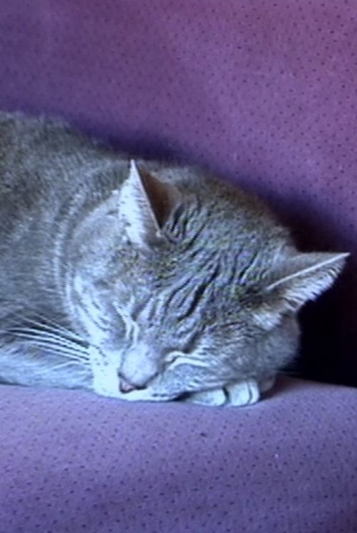 Nine Lives (The Eternal Moment of Now) постер