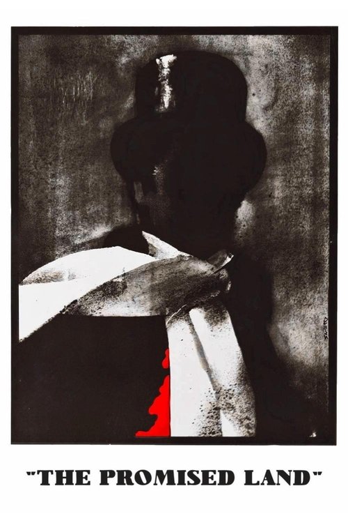 Земля обетованная постер