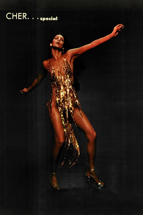 Cher... Special постер