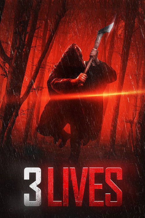 3 Lives постер