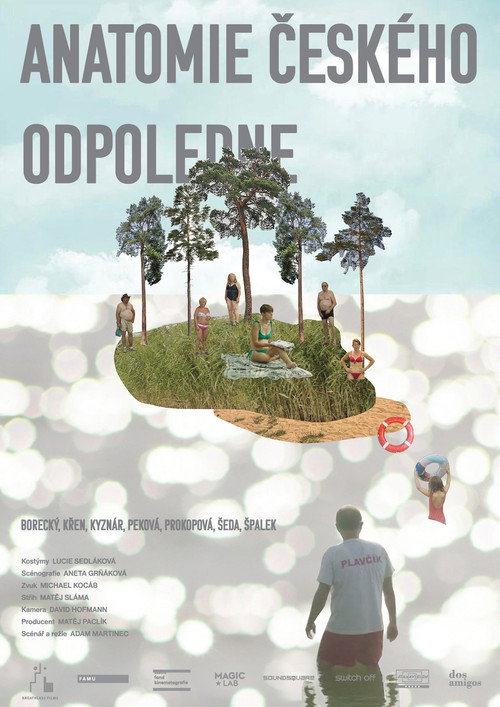 Anatomie českého odpoledne постер