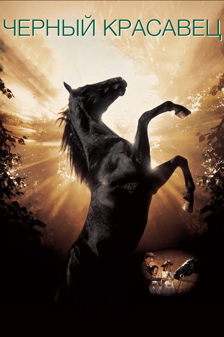 Черный красавец постер