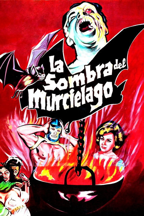La sombra del murciélago постер
