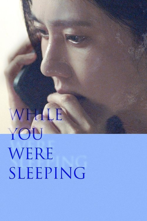 While You Were Sleeping постер