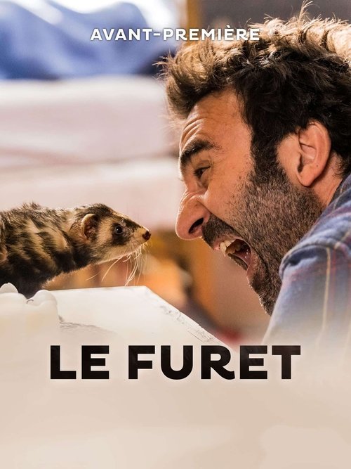 Le furet постер