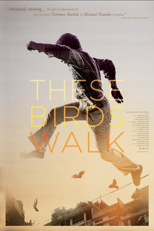 These Birds Walk постер