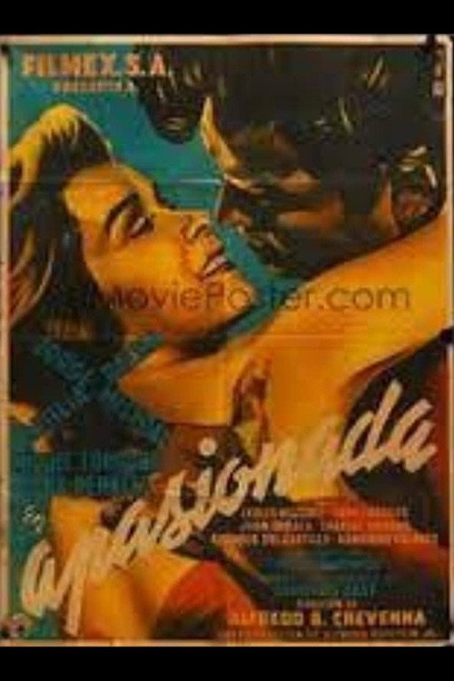 Passionate постер