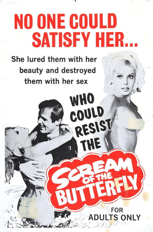 Scream of the Butterfly постер