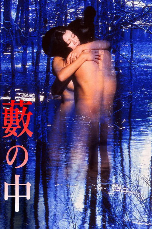 In a Thicket постер