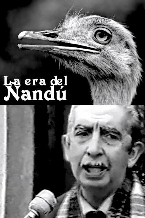 La era del ñandú постер