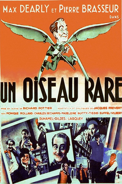 Un oiseau rare постер