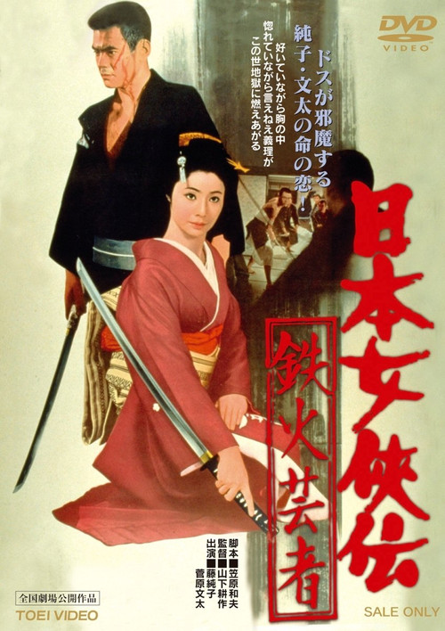 日本女侠伝 鉄火芸者 постер