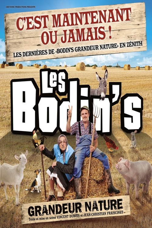 Les Bodin's - Grandeur Nature - La Dernière Des Zénith постер