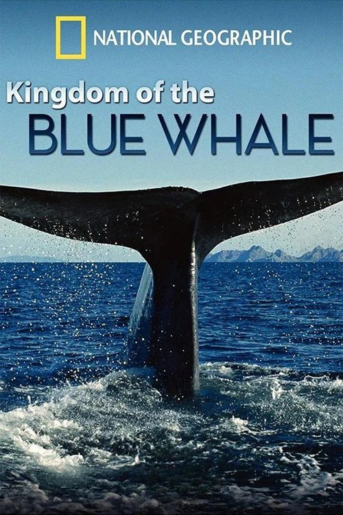 Kingdom of the Blue Whale постер