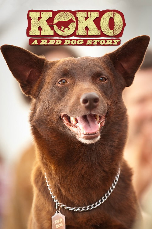 Koko: A Red Dog Story постер