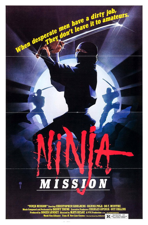 The Ninja Mission постер