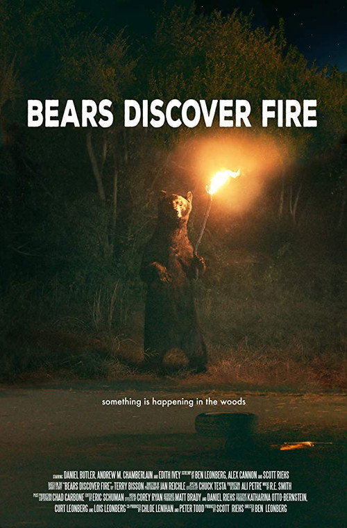 Bears Discover Fire постер