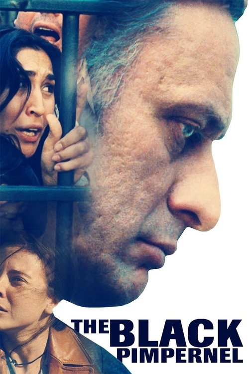 Черная гвоздика постер