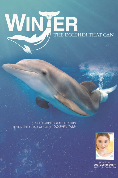 Winter, the Dolphin That Can постер