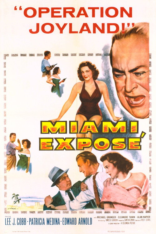 Miami Exposé постер