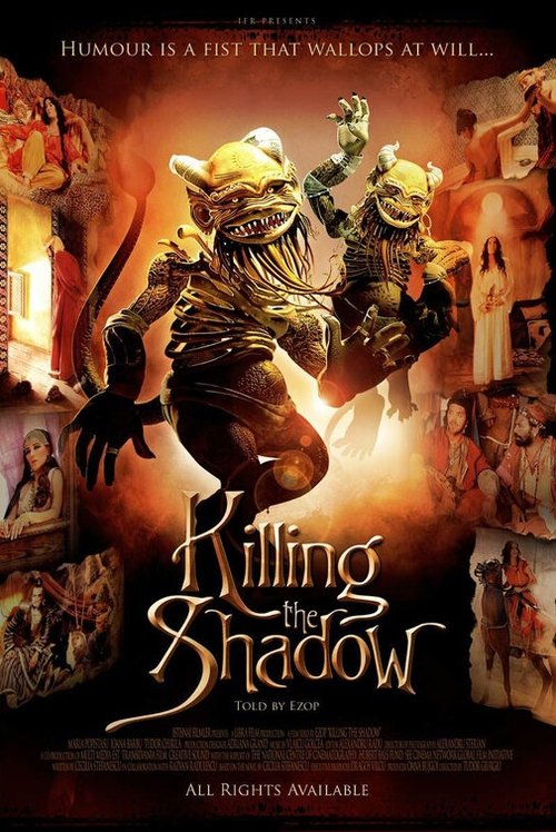 Killing the Shadows постер