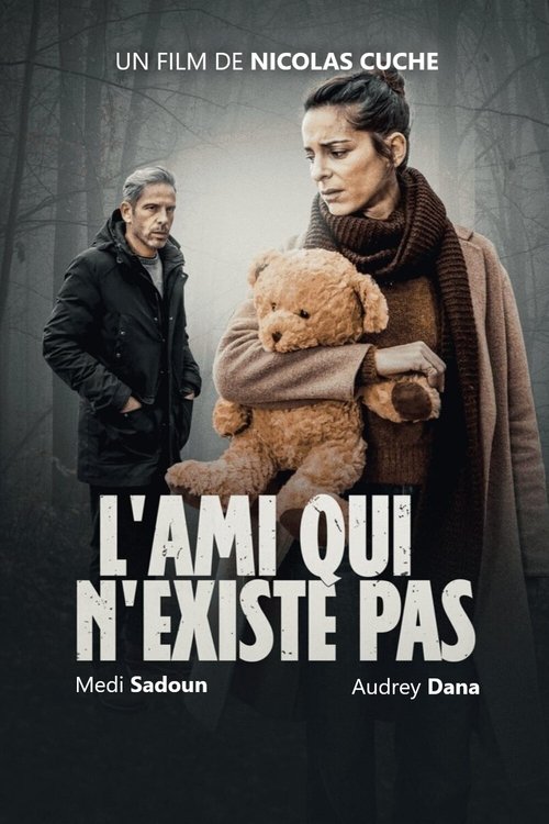 L'Ami qui n'existe pas постер
