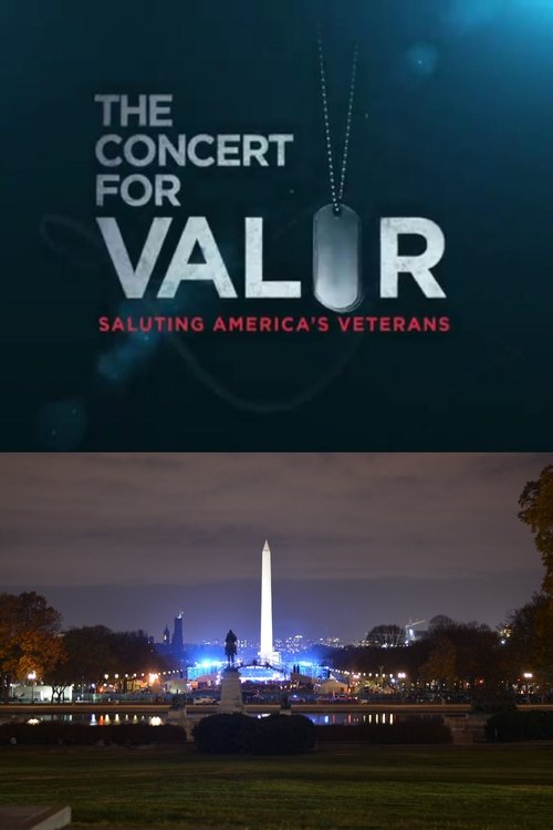 The Concert for Valor постер