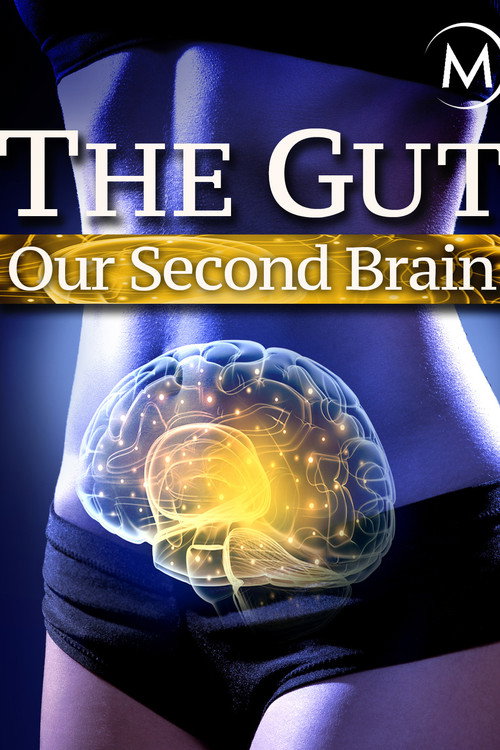 The Gut: Our Second Brain постер