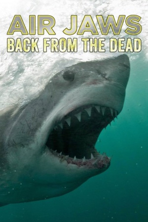 Air Jaws: Back from the Dead постер