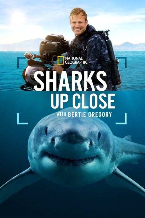 Sharks Up Close with Bertie Gregory постер