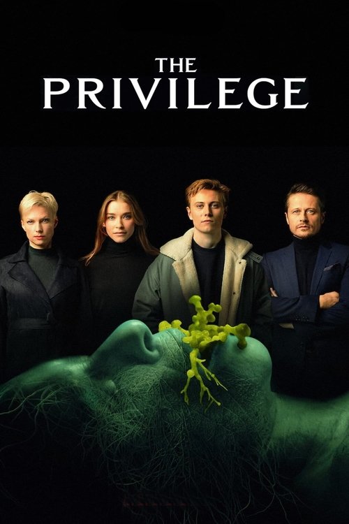 The Privilege постер