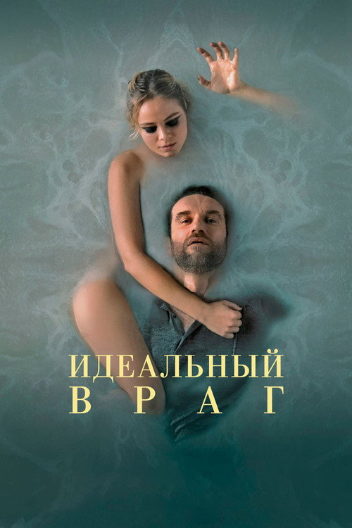 Идеальный враг постер