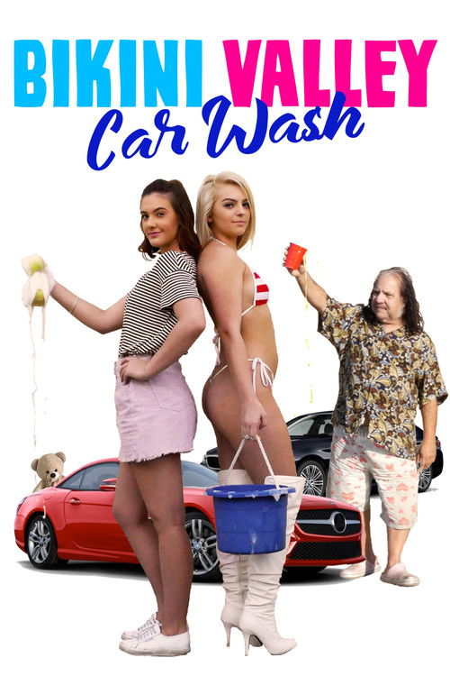 Bikini Valley Car Wash постер