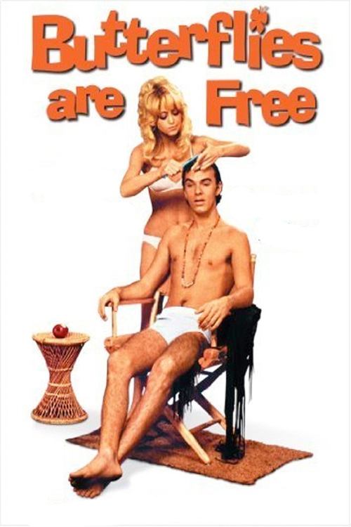Бабочки свободны постер