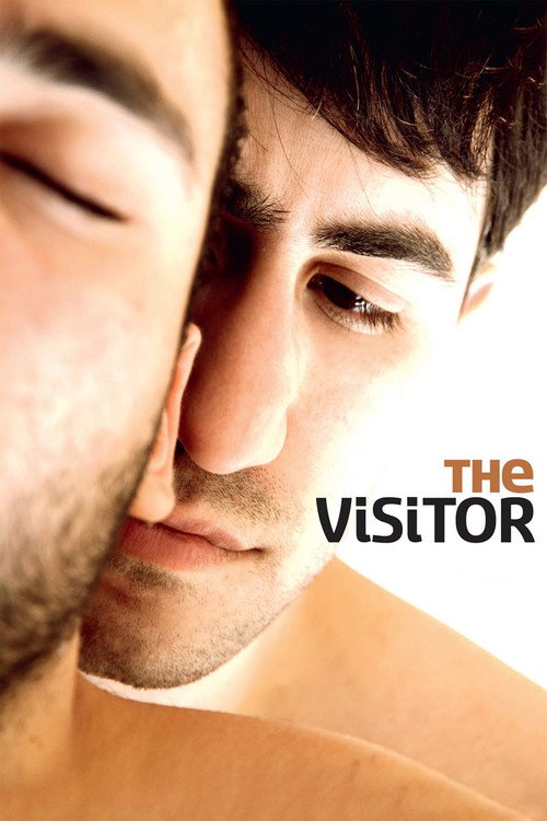 The Visitor постер