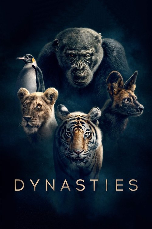 Dynasties постер