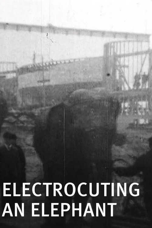 Electrocuting an Elephant постер