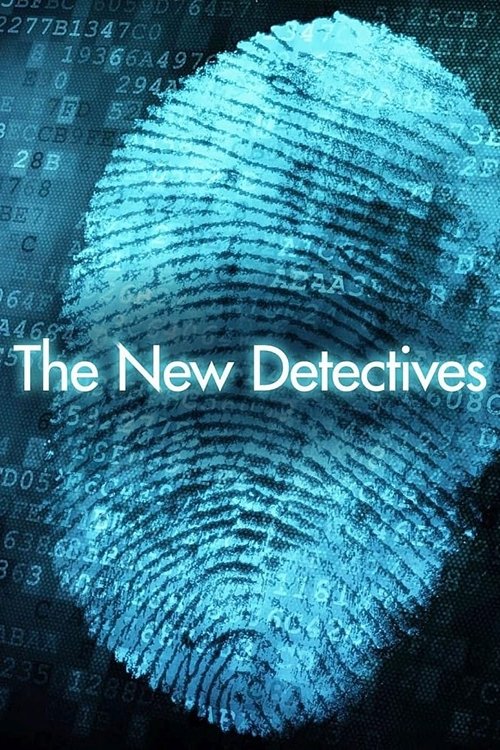 The New Detectives постер