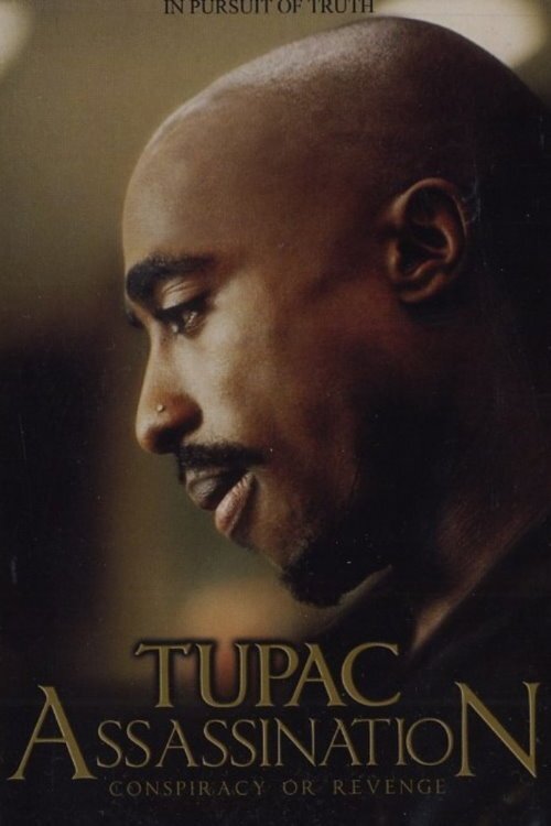 Tupac Assassination Conspiracy Or Revenge постер