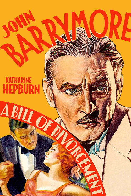 Билль о разводе постер