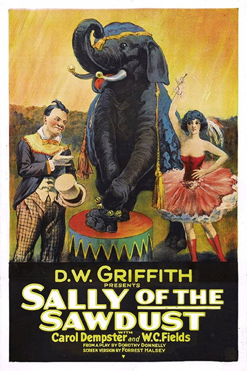 Sally of the Sawdust постер