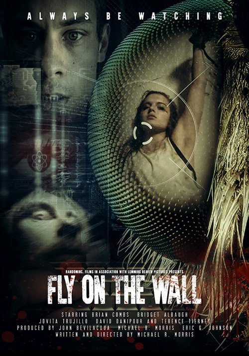Fly on the Wall постер
