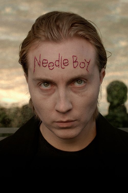 Needle Boy постер