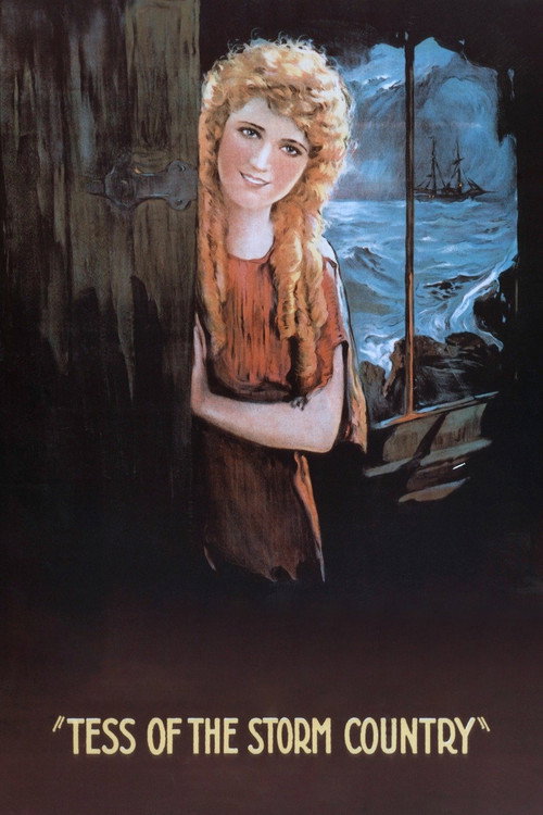 Tess of the Storm Country постер