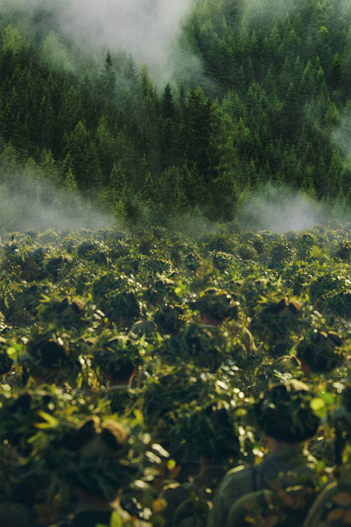 志愿军：雄兵出击 постер
