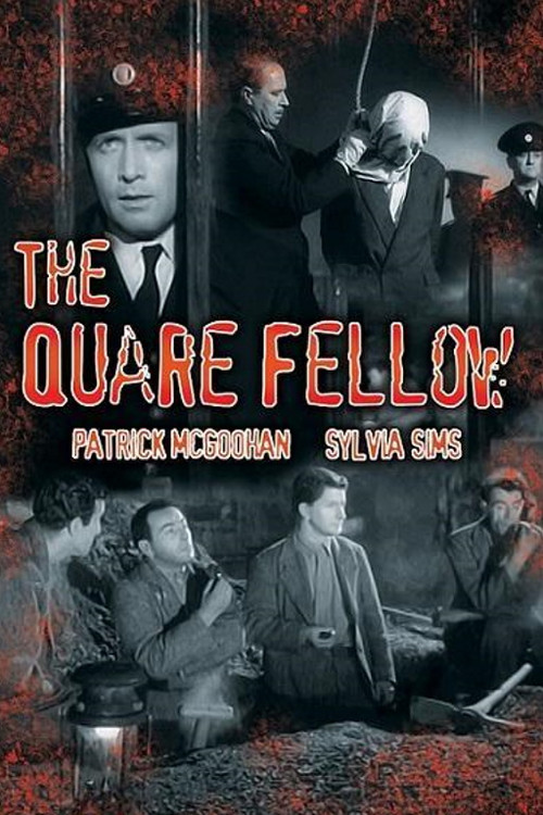 The Quare Fellow постер